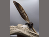 Räucherfeder Adler