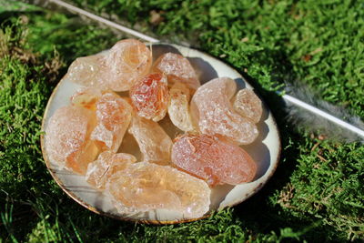 Gummi arabicum - Gummi arabicum Akzia arabicum