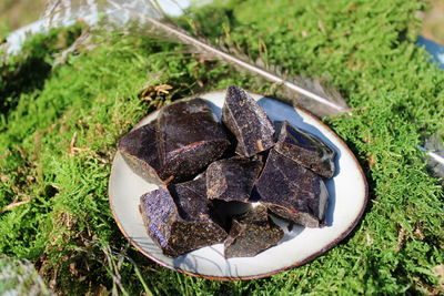 Tolubalsam fest - Myroxylon balsamum var