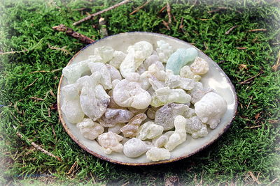 Weihrauch - Al Hojari Grad 1 (Oman) - Broswellia sacra